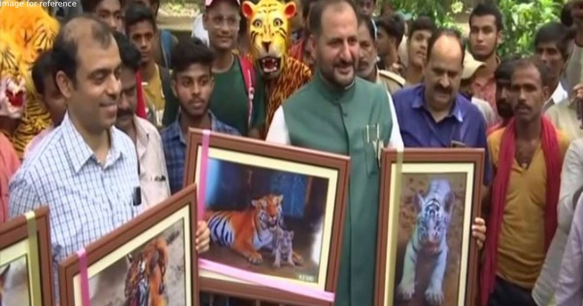 Bihar: CM names 4 newborn tiger cubs in Patna zoo